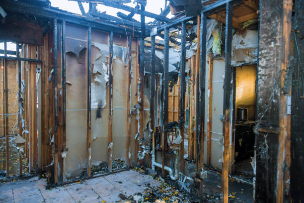 Professional Fire Damage Removal technician working in Springfield, CO